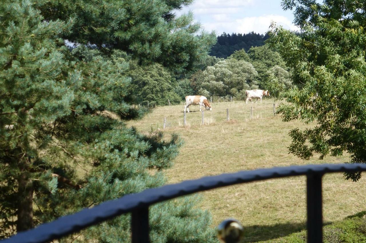 Ferienwohnung Am Groelisbach Roetgen Esterno foto